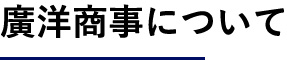 廣洋商事について